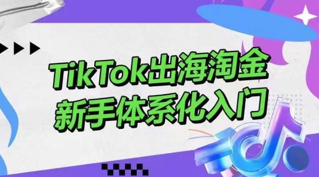 TikTok出海淘金，新手体系化入门，零基础快速入门，掌握短视频、直播带货等引流到变现的知识-启航188资源站