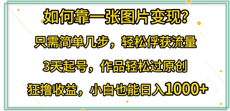 如何靠一张图片变现?只需简单几步，轻松俘获流量，3天起号，作品轻松过原创-启航188资源站