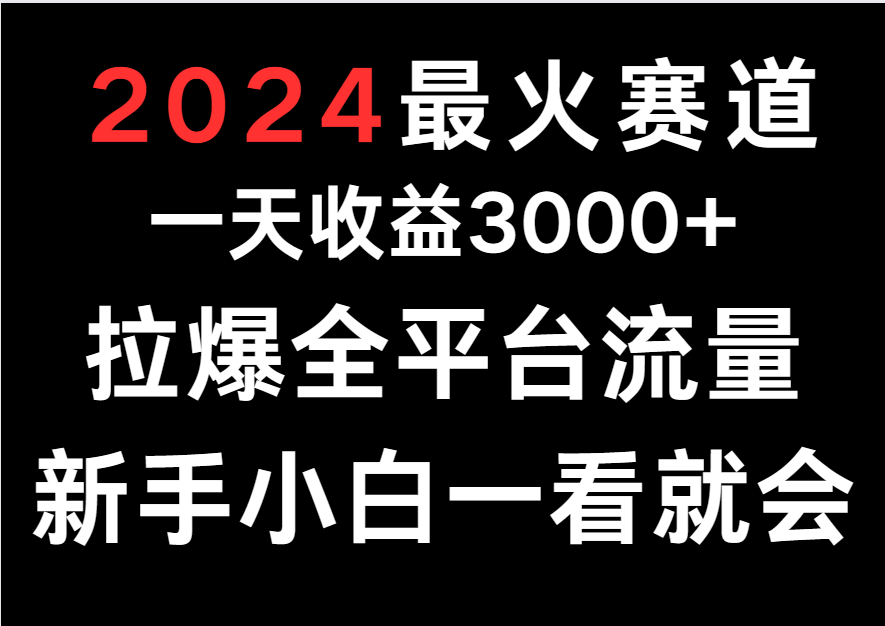 2024最火赛道，一天收一3000+.拉爆全平台流量，新手小白一看就会-启航188资源站