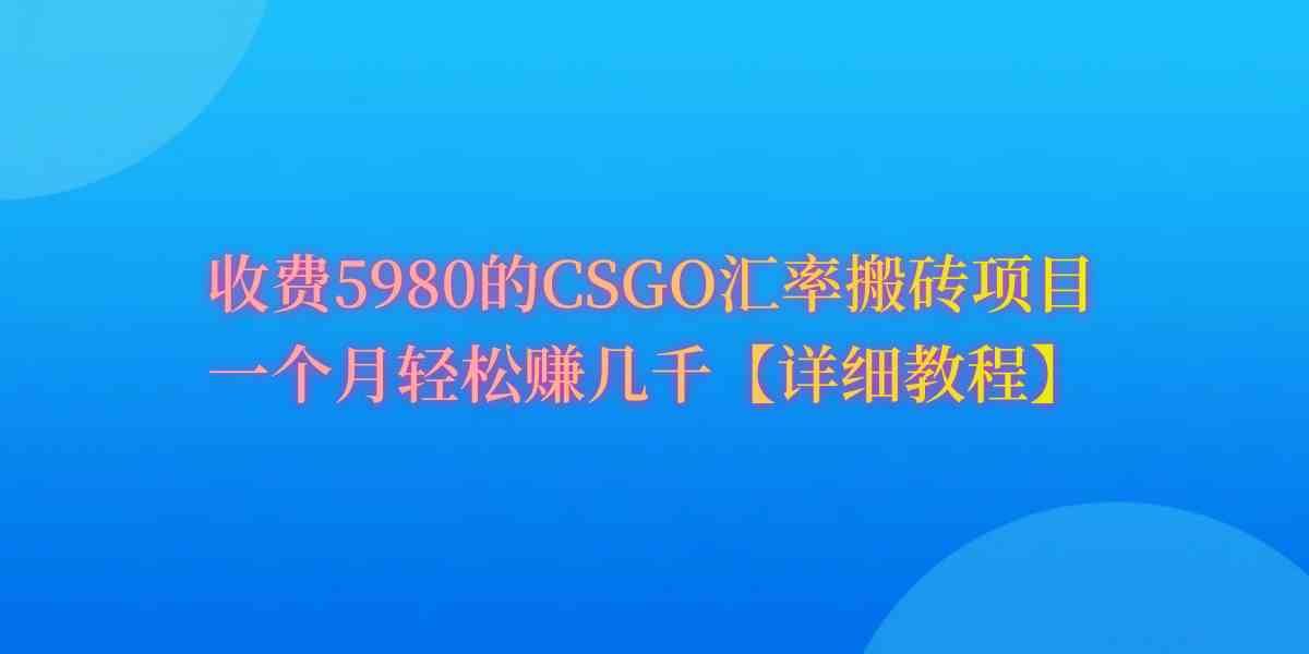 （9776期）CSGO装备搬砖，月综合收益率高达60%，你也可以！-启航188资源站