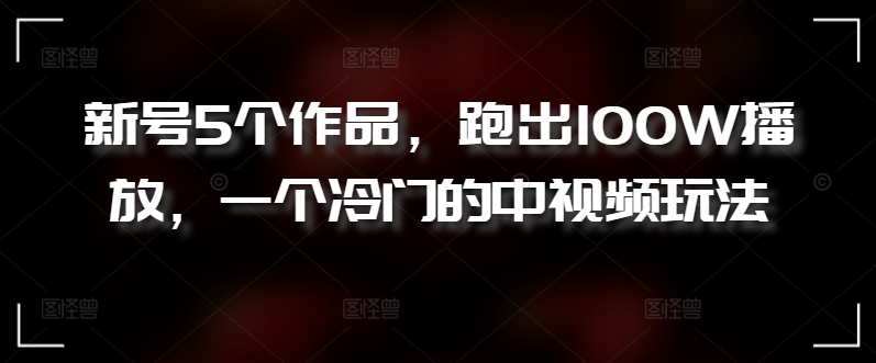 新号5个作品，跑出100W播放，一个冷门的中视频玩法-启航188资源站