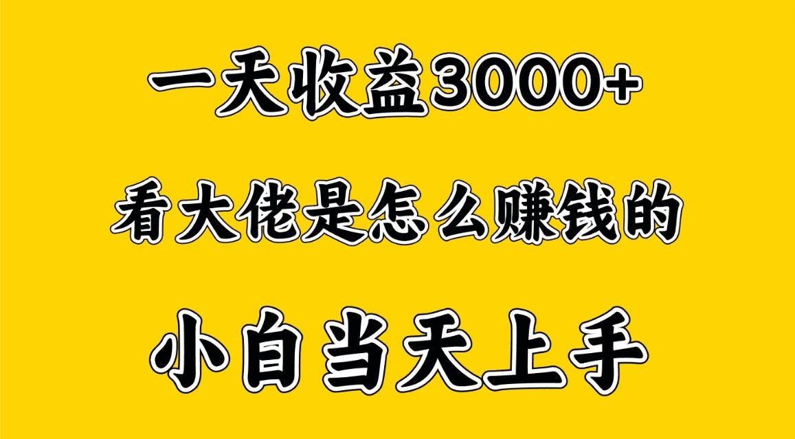 一天赚3000多，大佬是这样赚到钱的，小白当天上手，穷人翻身项目-启航188资源站