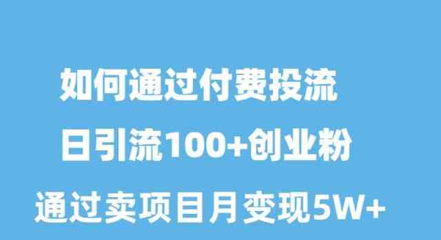 （10189期）如何通过付费投流日引流100+创业粉月变现5W+-启航188资源站