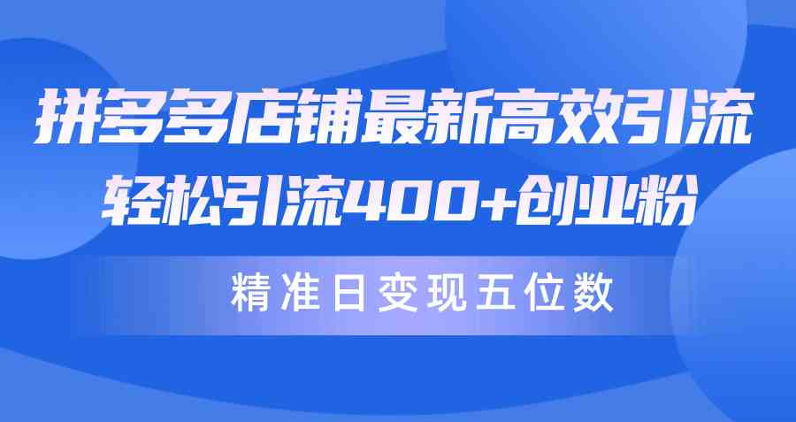 （10041期）拼多多店铺最新高效引流术，轻松引流400+创业粉，精准日变现五位数！-启航188资源站