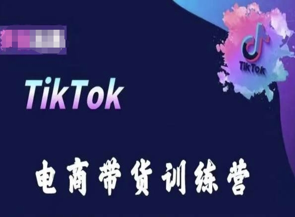 TikTok电商带货训练营，跟随时代潮流，跨境掘金-启航188资源站