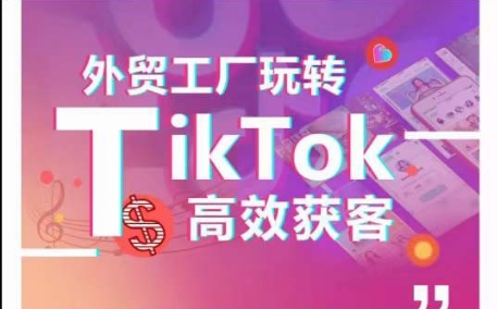 外贸工厂玩转TikTok高效获客，多种引流方式与账号定位技巧，拆解爆款短视频打造成功案例-启航188资源站