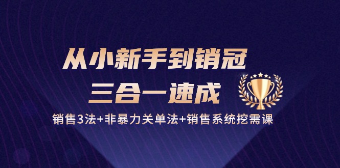 （10799期）从小新手到销冠 三合一速成：销售3法+非暴力关单法+销售系统挖需课 (27节)-启航188资源站