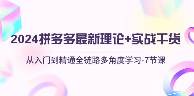 （10816期）2024拼多多 最新理论+实战干货，从入门到精通全链路多角度学习-7节课-启航188资源站