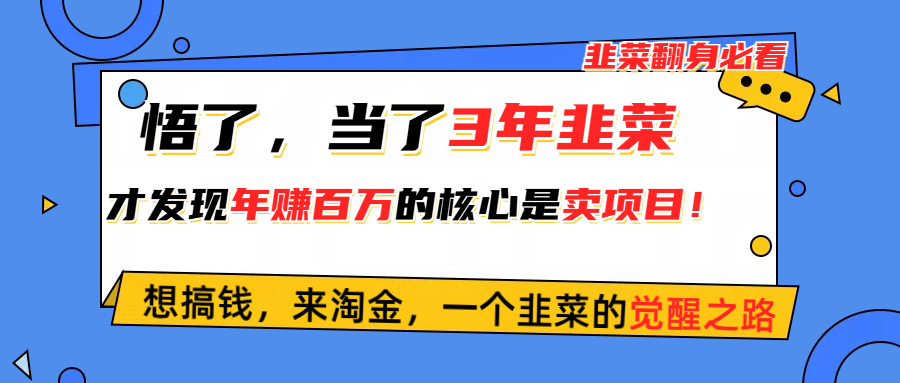 （10759期）悟了，当了3年韭菜，才发现网赚圈年赚100万的核心是卖项目，含泪分享！-启航188资源站