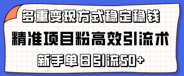 精准项目粉高效引流术，新手单日引流50+，多重变现方式稳定赚钱-启航188资源站