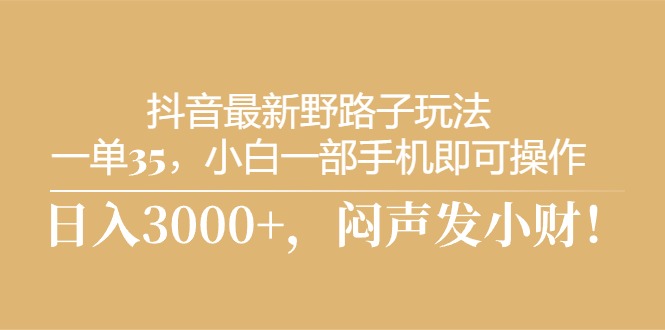 （10766期）抖音最新野路子玩法，一单35，小白一部手机即可操作，，日入3000+，闷…-启航188资源站