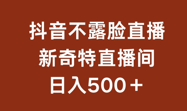 不露脸挂机直播，新奇特直播间，日入500+-启航188资源站