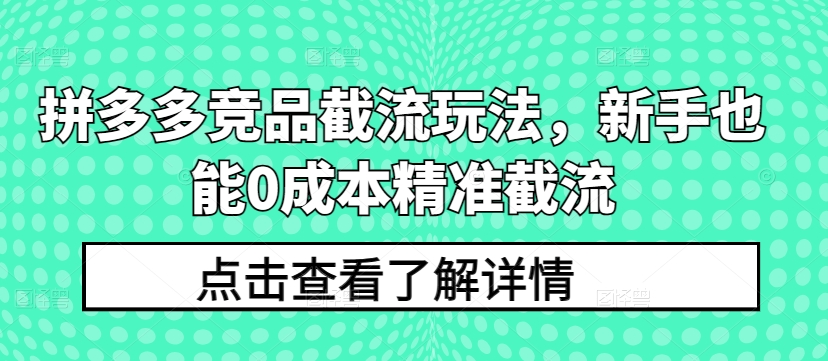 拼多多竞品截流玩法，新手也能0成本精准截流-启航188资源站