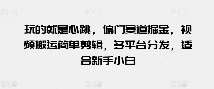 玩的就是心跳，偏门赛道掘金，视频搬运简单剪辑，多平台分发，适合新手小白-启航188资源站