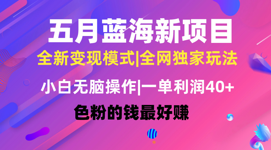 （10477期）五月蓝海项目全新玩法，小白无脑操作，一天几分钟，矩阵操作，月入4万+-启航188资源站