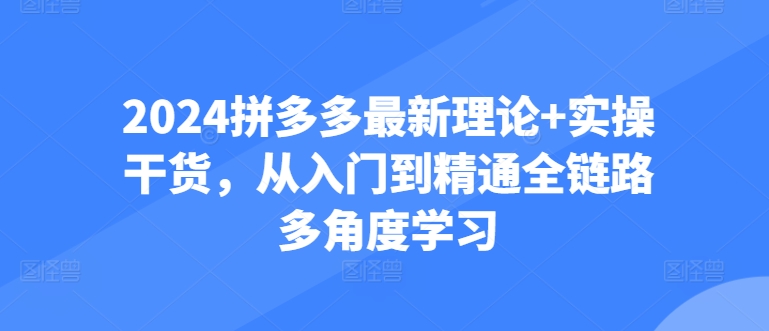 2024拼多多最新理论+实操干货，从入门到精通全链路多角度学习-启航188资源站