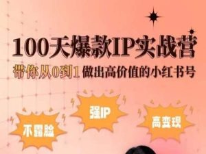 小红书100天爆款IP实战营，带你从0到1做出高价值的小红书号-启航188资源站