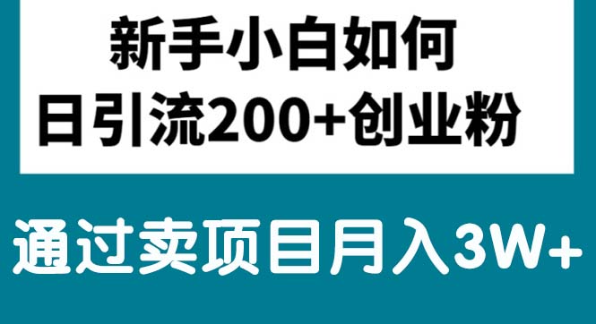 （10843期）新手小白日引流200+创业粉,通过卖项目月入3W+-启航188资源站