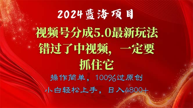 （11032期）2024蓝海项目，视频号分成计划5.0最新玩法，错过了中视频，一定要抓住…-启航188资源站