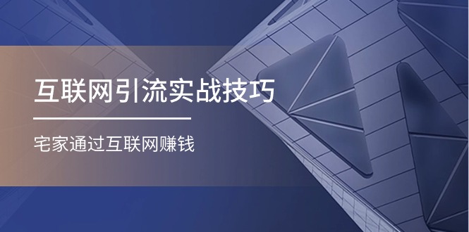 （11108期）互联网引流实操技巧(适合微商，吸引宝妈)，宅家通过互联网赚钱（17节）-启航188资源站