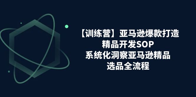 （11210期）【训练营】亚马逊爆款打造之精品开发SOP，系统化洞察亚马逊精品选品全流程-启航188资源站