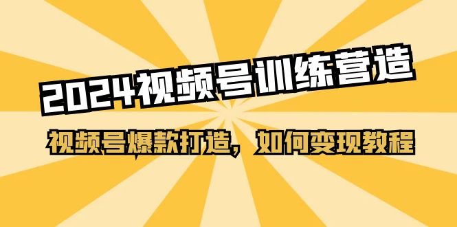 （11135期）2024视频号训练营，视频号爆款打造，如何变现教程（20节课）-启航188资源站