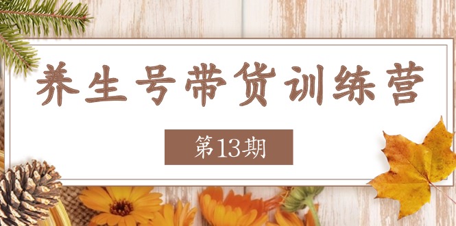 养生号带货训练营【第13期】收益更稳定的玩法，让你带货收益爆炸-启航188资源站