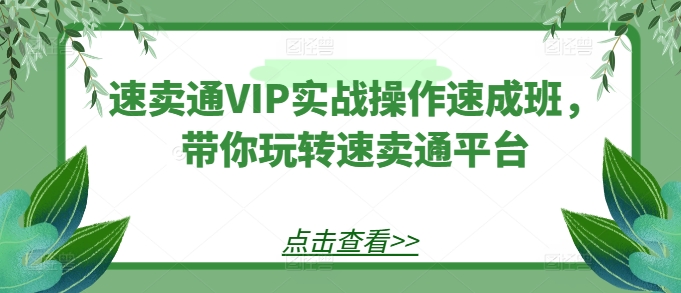 速卖通VIP实战操作速成班，带你玩转速卖通平台-启航188资源站