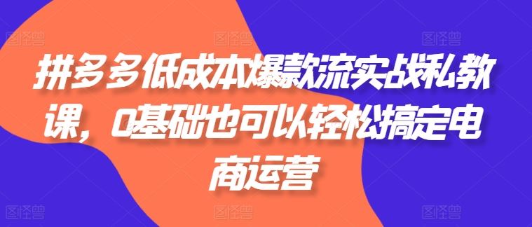 拼多多低成本爆款流实战私教课，0基础也可以轻松搞定电商运营-启航188资源站