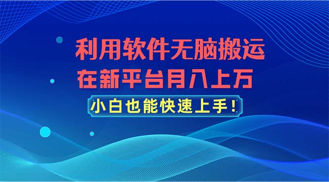 （11078期）利用软件无脑搬运，在新平台月入上万，小白也能快速上手-启航188资源站