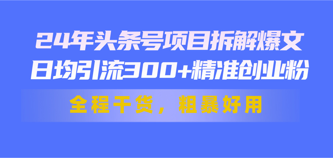 24年头条号项目拆解爆文，日均引流300+精准创业粉，全程干货，粗暴好用-启航188资源站