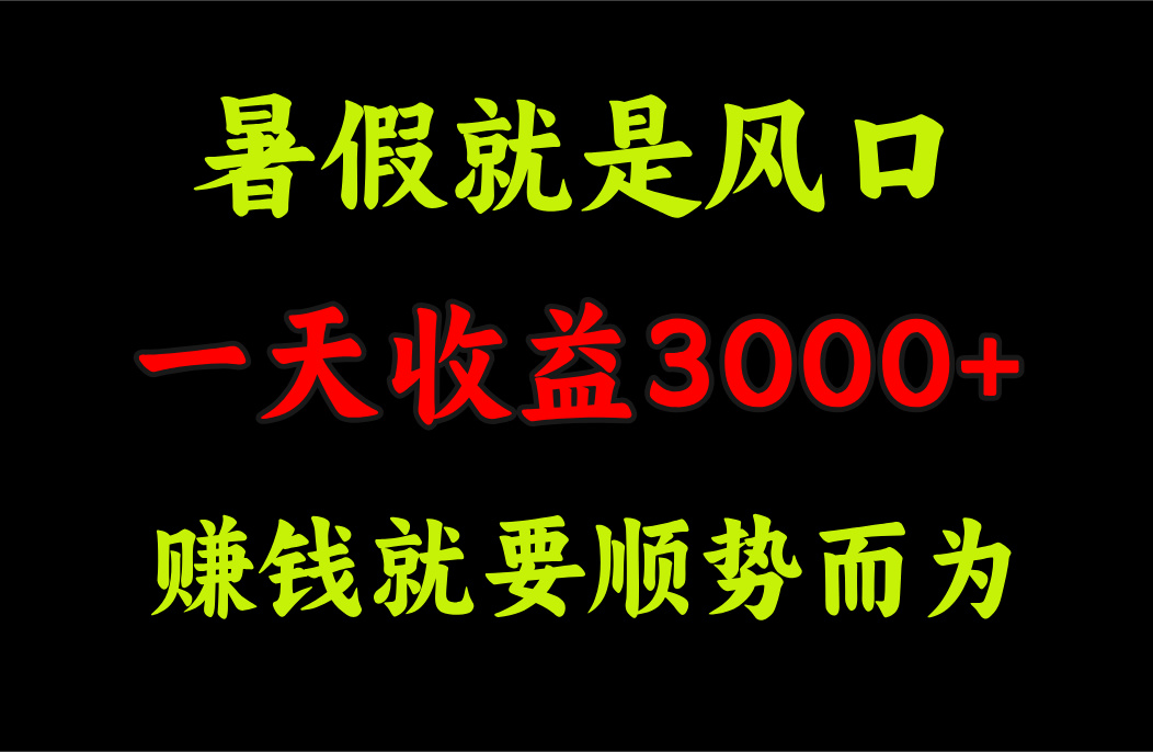 一天收益3000+ 赚钱就是顺势而为，暑假就是风口-启航188资源站