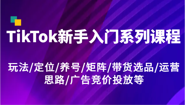 TikTok新手入门系列课程，玩法/定位/养号/矩阵/带货选品/运营思路/广告竞价投放等-启航188资源站