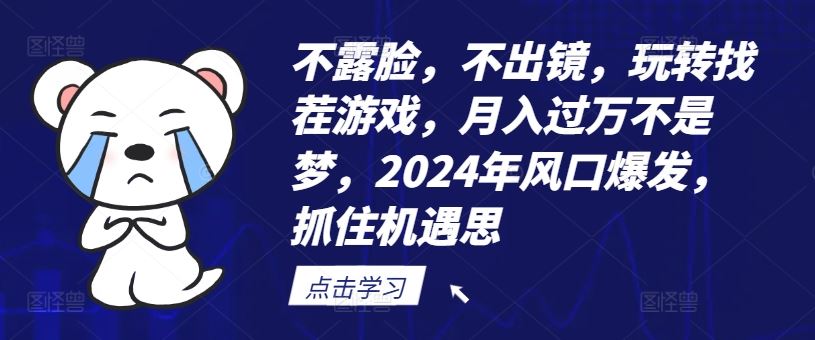 不露脸，不出镜，玩转找茬游戏，月入过万不是梦，2024年风口爆发，抓住机遇【揭秘】-启航188资源站