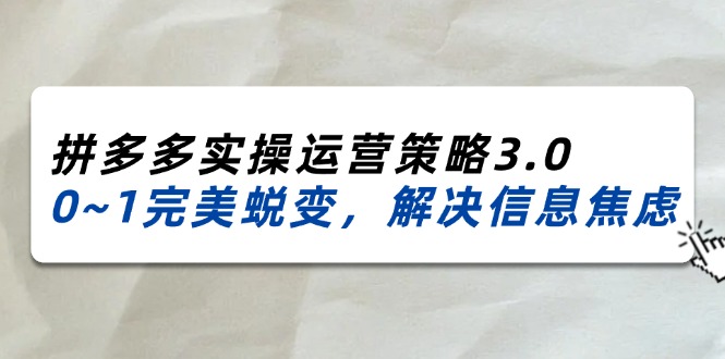 （11658期）2024_2025拼多多实操运营策略3.0，0~1完美蜕变，解决信息焦虑（38节）-启航188资源站