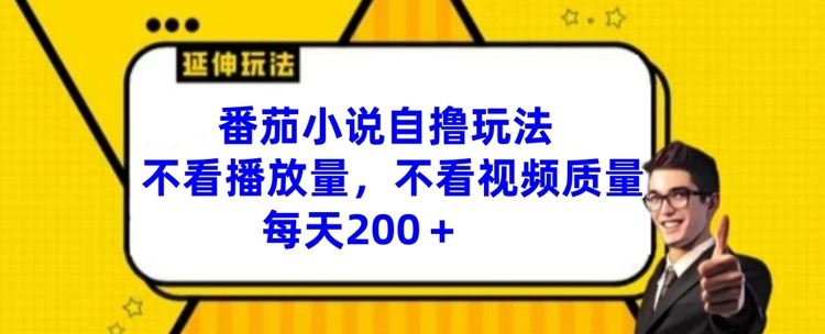 番茄小说自撸玩法，不看播放量，不看视频质量，每天200+【揭秘】-启航188资源站