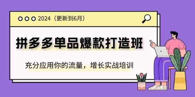 2024拼多多单品爆款打造班，充分应用你的流量，增长实战培训(更新6月)-启航188资源站