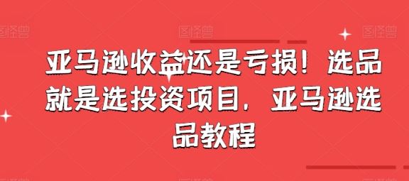 亚马逊收益还是亏损！选品就是选投资项目，亚马逊选品教程-启航188资源站