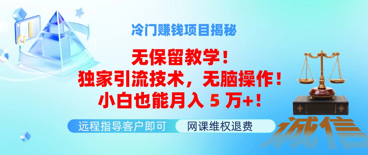 （11864期）冷门赚钱项目无保留教学！独家引流技术，无脑操作！小白也能月入5万+！-启航188资源站