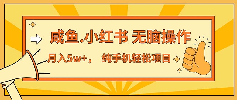 （11524期）2024最赚钱的项目，咸鱼，小红书无脑操作，每单利润500+，轻松月入5万+…-启航188资源站