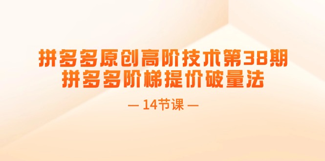 （11704期）拼多多原创高阶技术第38期，拼多多阶梯提价破量法（14节课）-启航188资源站