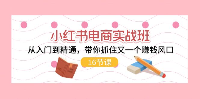 （11533期）小红书电商实战班，从入门到精通，带你抓住又一个赚钱风口（16节）-启航188资源站