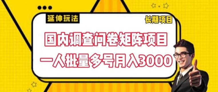 国内调查问卷矩阵项目，一人批量多号月入3000【揭秘】-启航188资源站