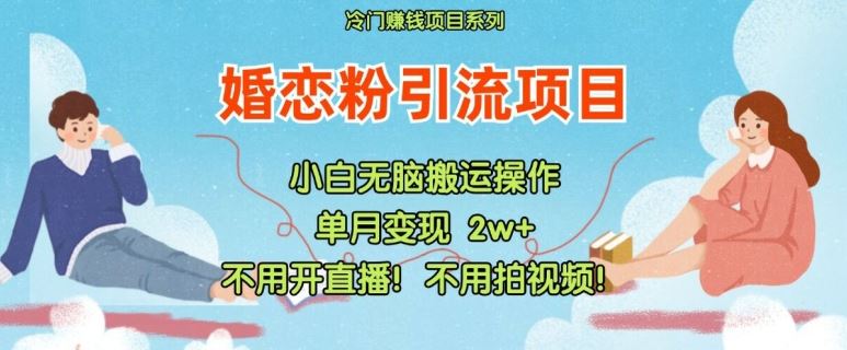 小红书婚恋粉引流，不用开直播，不用拍视频，不用做交付【揭秘】-启航188资源站