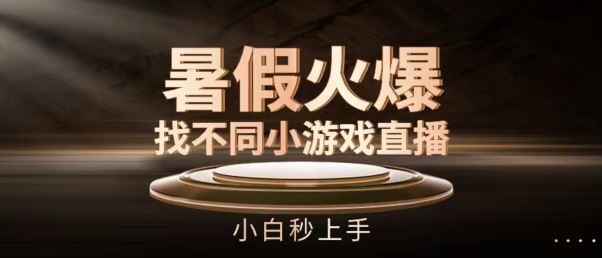 暑假火爆找不同小游戏直播间，小白秒上手【揭秘】-启航188资源站