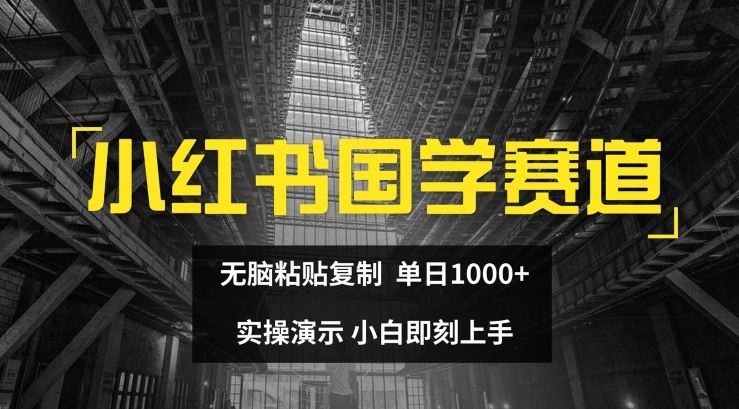 小红书国学赛道，无脑粘贴复制，单日1K，实操演示，小白即刻上手【揭秘】-启航188资源站