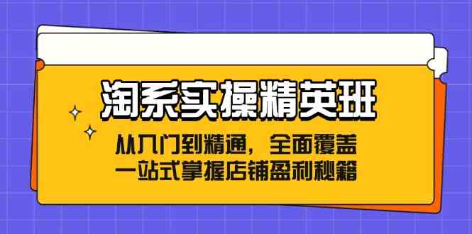 淘系实操精英班：从入门到精通，全面覆盖，一站式掌握店铺盈利秘籍-启航188资源站