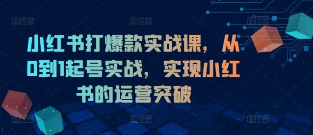 小红书打爆款实战课，从0到1起号实战，实现小红书的运营突破-启航188资源站