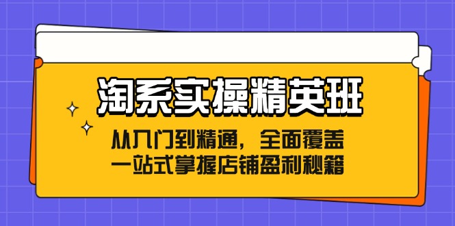 （12276期）淘系实操精英班：从入门到精通，全面覆盖，一站式掌握店铺盈利秘籍-启航188资源站