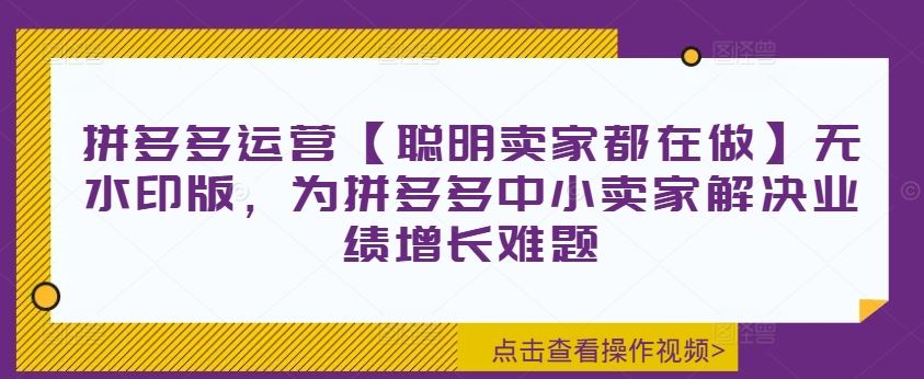 拼多多运营【聪明卖家都在做】无水印版，为拼多多中小卖家解决业绩增长难题-启航188资源站